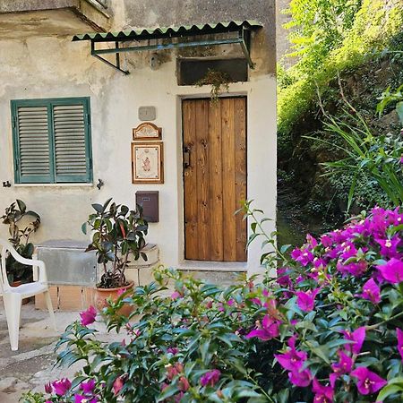 Appartamento Nel Borgo - Casa Del Pellegrino Sulla Via Francigena Аулла Екстер'єр фото